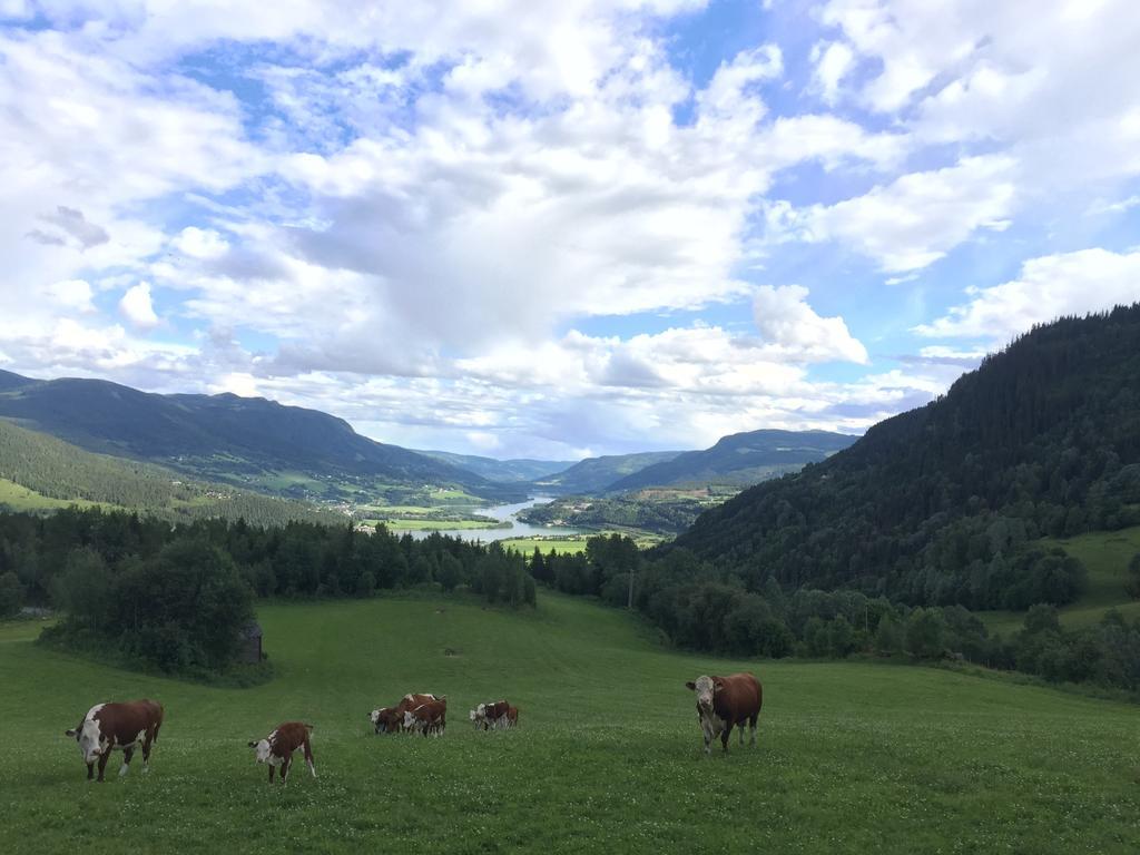 Kvitfjell Ranch Villa Eksteriør billede